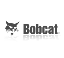 Bobcat