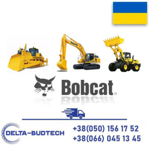 7006172 Лобовое стекло для BOBCAT
